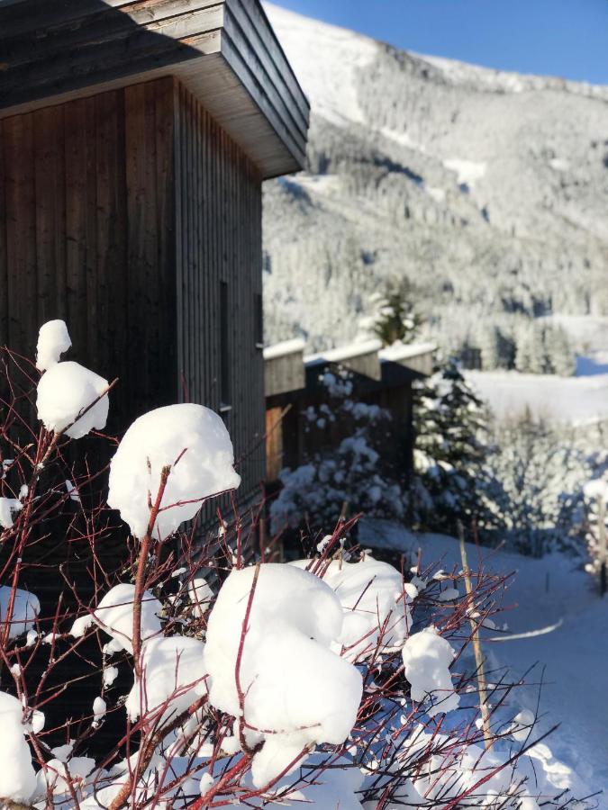 Chalet Sternwarte Hohentauern Zewnętrze zdjęcie
