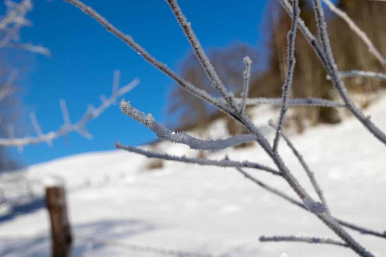 Chalet Sternwarte Hohentauern Zewnętrze zdjęcie