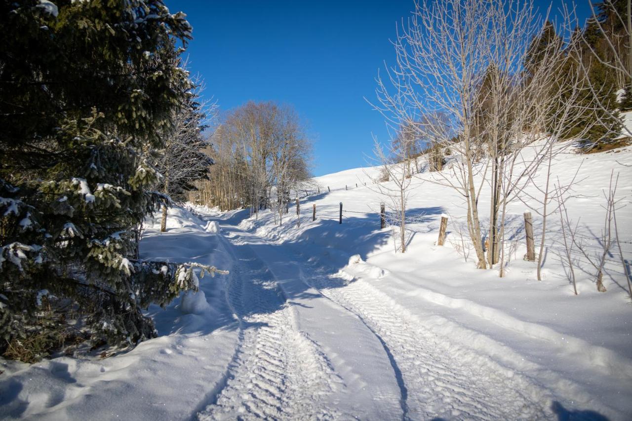 Chalet Sternwarte Hohentauern Zewnętrze zdjęcie